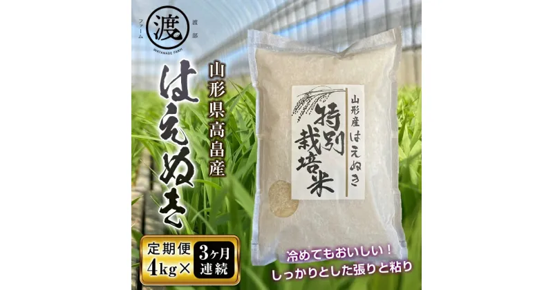 【ふるさと納税】 《定期便》令和6年産 山形県高畠産はえぬき4kg（2kg×2）3回 F21B-194