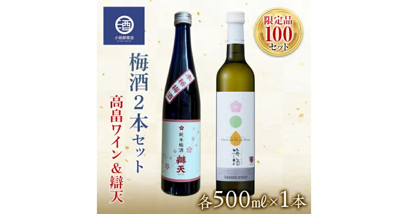 【ふるさと納税】限定品100セット 梅酒2本 高畠ワイン&辯天 500ml 梅酒セット F20B-561