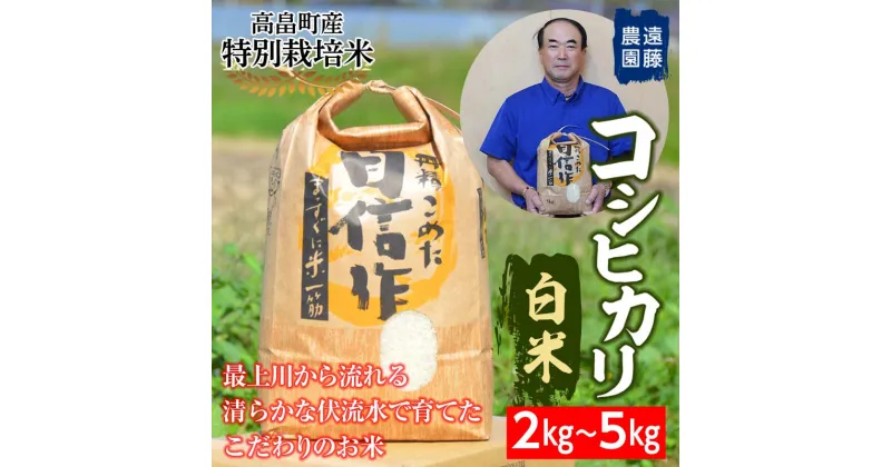 【ふるさと納税】 【遠藤農園】令和6年度 山形県高畠町産 特別栽培米 コシヒカリ 白米 5kg (1袋) 精米 米 お米 おこめ ごはん ブランド米 産地直送 農家直送 F21B-166