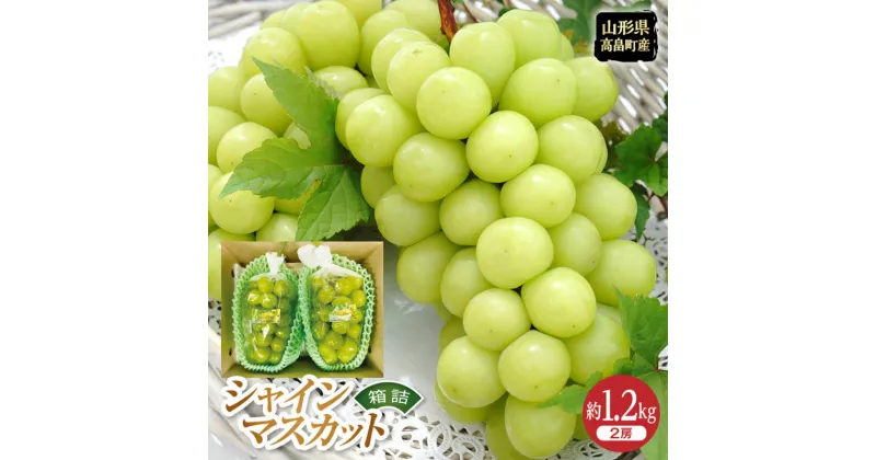 【ふるさと納税】《先行予約》令和6年産 山形県 高畠町 シャインマスカット 箱詰 約1.2kg(2房) 2024年9月下旬から順次発送 ぶどう ブドウ 葡萄 マスカット 大粒 種なし 高級 くだもの 果物 フルーツ 秋果実 産地直送 農家直送 数量限定 贈答 ギフト F20B-723