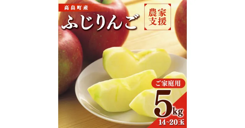 【ふるさと納税】【農業者支援品】2024年 山形県 高畠町産 ご家庭用 サンふじ りんご 5kg(14～20玉) 2024年12月上旬から順次発送 りんご リンゴ 林檎 くだもの 果物 フルーツ 冬果実 産地直送 農家直送 数量限定 ご自宅用 訳あり 支援品 F20B-726