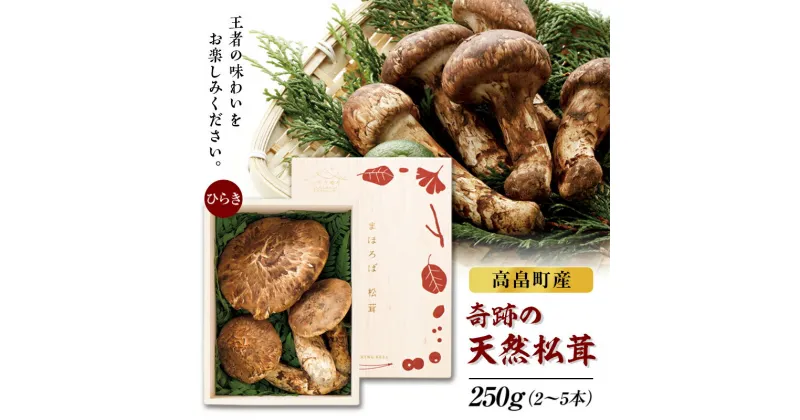 【ふるさと納税】 ≪先行予約≫2024年 山形県 高畠町産 松茸 ひらき 250g(2～5本) 2024年9月下旬から順次発送 国産 国内産 天然 まつたけ 希少 秋 山の幸 きのこ キノコ 期間限定 数量限定 ギフト 贈答 産地直送 F20B-154