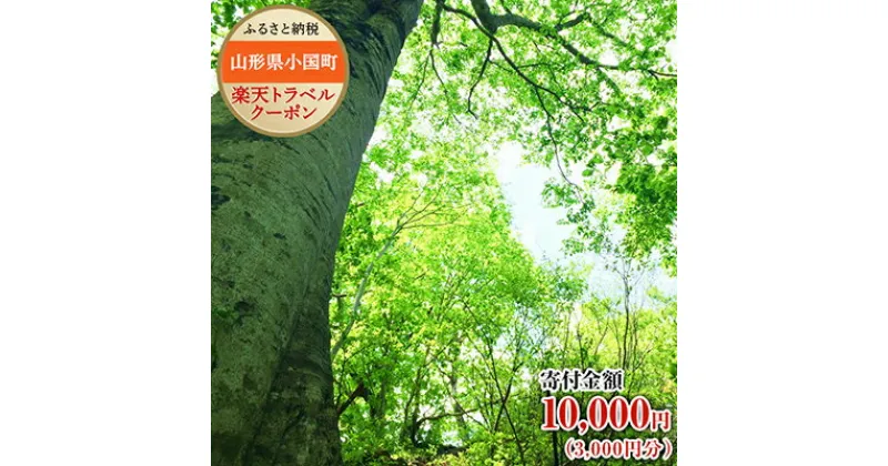 【ふるさと納税】山形県小国町の対象施設で使える楽天トラベルクーポン寄付額10,000円（クーポン額3,000円）