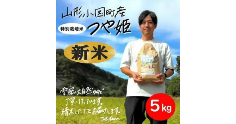 【ふるさと納税】山形県小国町産　つや姫　精米5kg【1462791】