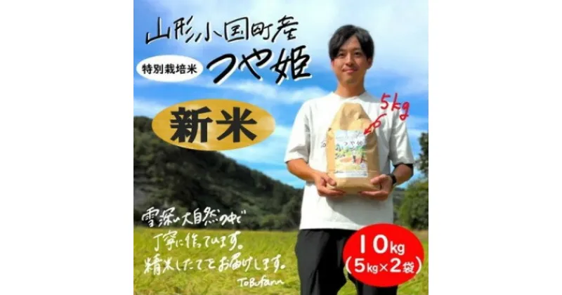 【ふるさと納税】山形県小国町産　つや姫　精米10kg(5kg×2袋)【1462828】