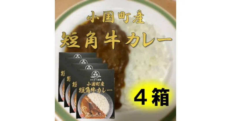 【ふるさと納税】小国短角牛カレー(1人前×4箱)【1463241】