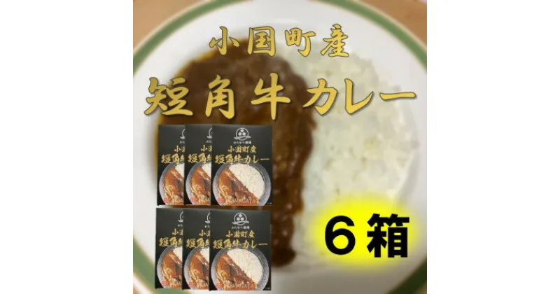 【ふるさと納税】小国短角牛カレー(1人前×6箱)【1463244】