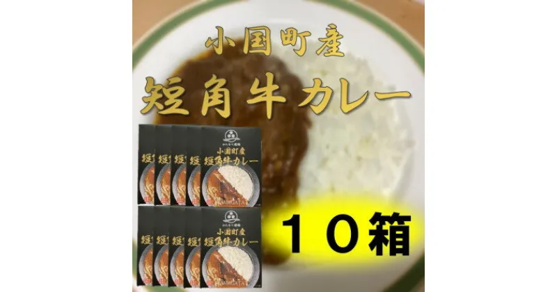 【ふるさと納税】小国短角牛カレー(1人前×10箱)【1463250】