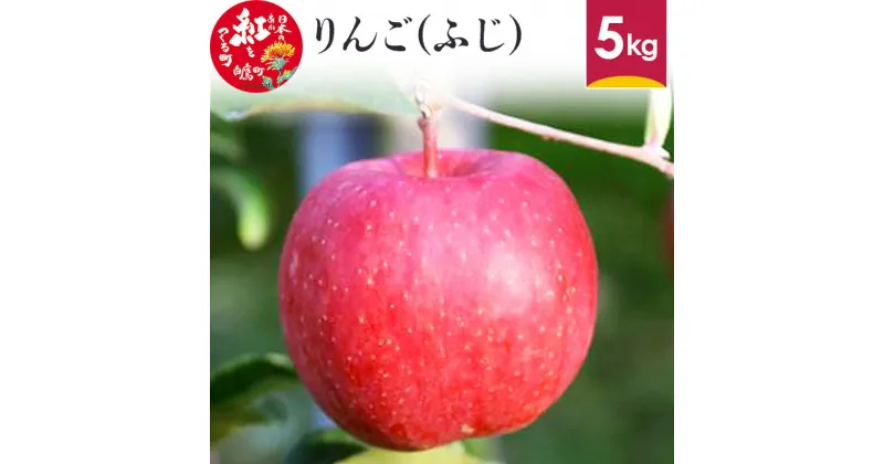 【ふるさと納税】りんご (ふじ) 5kg 山形県産 フルーツ 果物 リンゴ 林檎 【2024年12月上旬～12月下旬に順次発送予定】