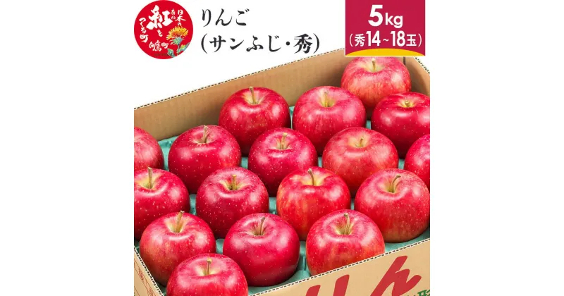 【ふるさと納税】りんご (サンふじ・秀) 5kg 山形県産 フルーツ 果物 【2024年11月下旬～12月上旬に順次発送予定】