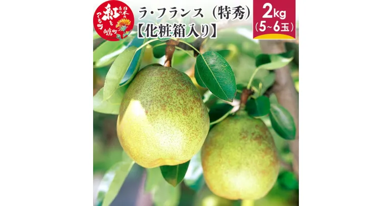 【ふるさと納税】ラ・フランス （特秀) 2kg【化粧箱入り】 山形県産 フルーツ 果物 【2024年11月上旬～12月上旬に順次発送予定】