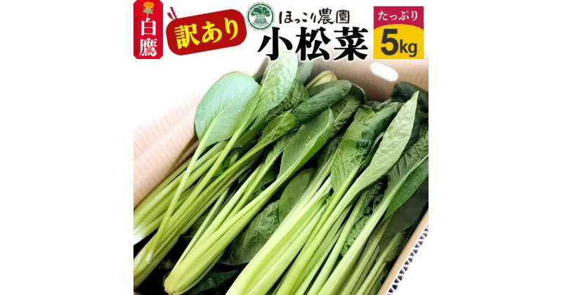 【ふるさと納税】山形県白鷹町産【訳あり】とれたて小松菜（5kg）個数限定 国産 旬 野菜 やさい こまつな