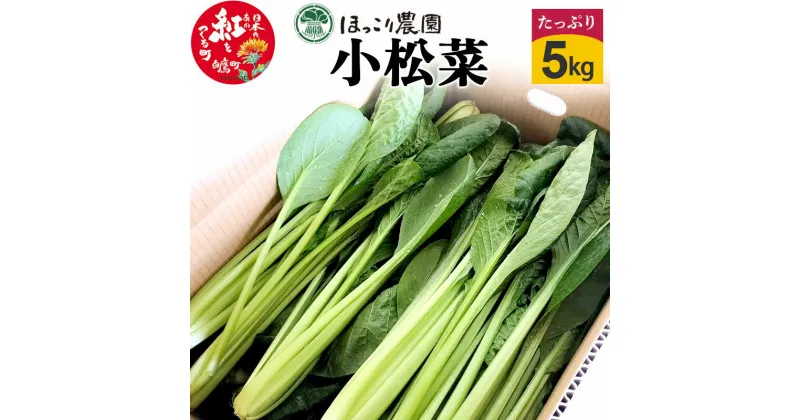 【ふるさと納税】山形県白鷹町産 とれたて小松菜（5kg）個数限定 国産 旬 野菜 やさい こまつな