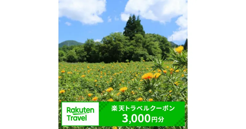 【ふるさと納税】山形県白鷹町の対象施設で使える楽天トラベルクーポン 寄付額10,000円