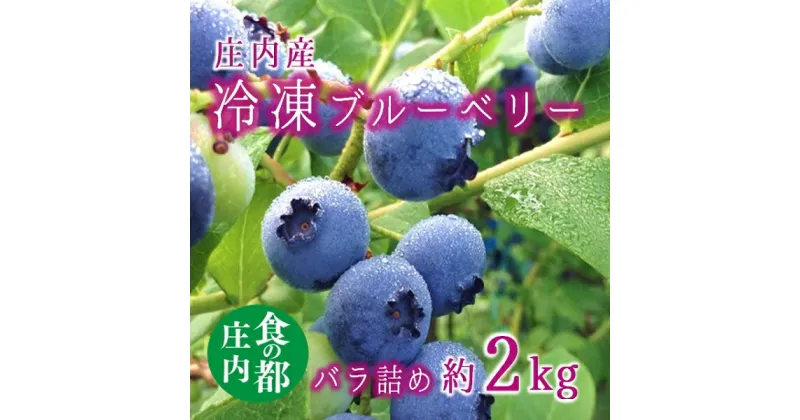 【ふるさと納税】食の都庄内【令和6年産】庄内産冷凍ブルーベリー（バラ詰め約2kg）（庄内たがわ農業協同組合）