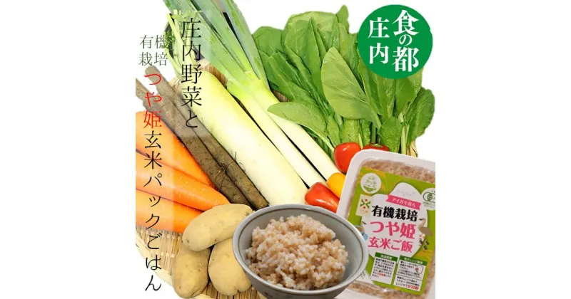 【ふるさと納税】食の都庄内　庄内の野菜セット&有機栽培つや姫玄米パックごはん（やまがた庄内産直出前便実行委員会）