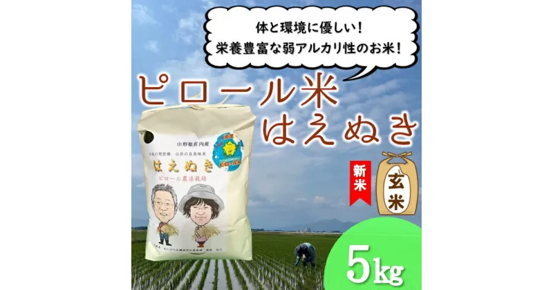 【ふるさと納税】【玄米】九代目又七のピロール農法米はえぬき5kg（令和6年産新米予約）