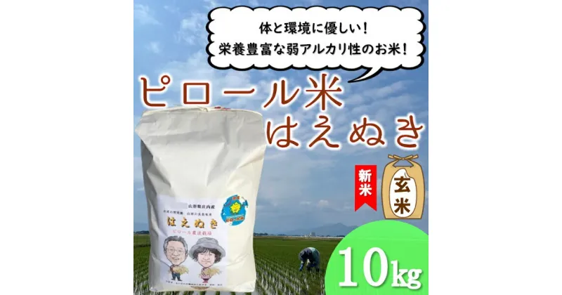 【ふるさと納税】【玄米】九代目又七のピロール農法米はえぬき10kg（令和6年産新米予約）