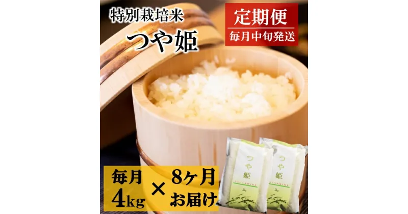 【ふるさと納税】【 定期便 8回】竹原田ファームの つや姫 4kg×8回　※令和6年11月～令和7年6月までお届け