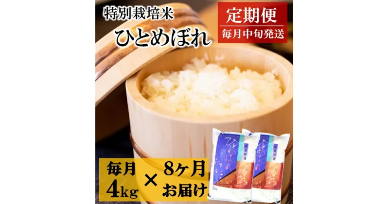 【ふるさと納税】【 定期便 8回】竹原田ファームの ひとめぼれ 4kg×8回　※令和6年11月～令和7年6月までお届け