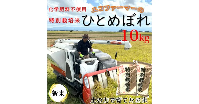 【ふるさと納税】【令和6年産・精米】エコファーマーの特別栽培米ひとめぼれ10kg（庄司　小右衛門）