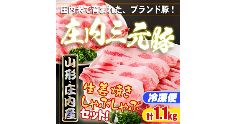 【ふるさと納税】 ふるさと納税 豚肉 高級 ブランド豚「 庄内三元豚 」計1.1kg／ 生姜焼き ・ しゃぶしゃぶ セット