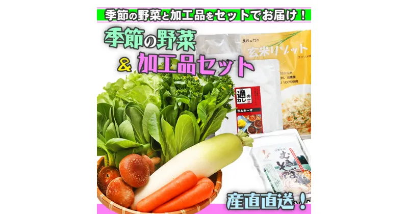 【ふるさと納税】産直直送 ！庄内町 季節の野菜 と 加工品 セット