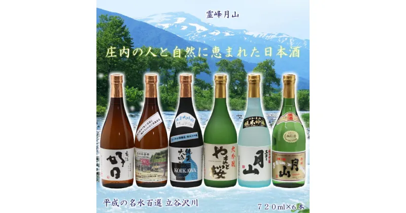 【ふるさと納税】 ふるさと納税 日本酒 日本酒6本セット