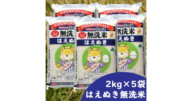 【ふるさと納税】 ふるさと納税 無洗米 米 山形県 庄内産はえぬき 無洗米10kg（2kg×5袋）