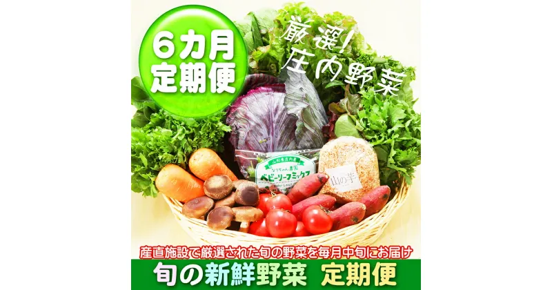 【ふるさと納税】 ＜11月中旬発送＞ 新鮮野菜 6か月定期便！ 産直施設「あっでば」直送 （入金期限：2024.10.25） ふるさと納税 山形 定期便