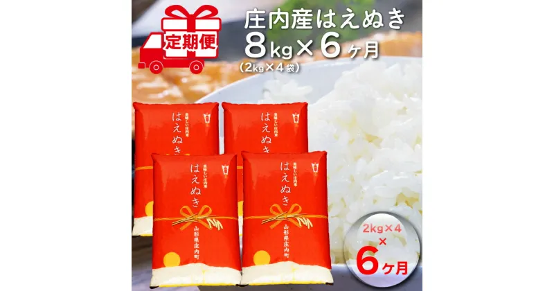 【ふるさと納税】 ふるさと納税 米 定期便 山形県 ＜11月中旬発送＞ 庄内米 6か月定期便！ はえぬき 8kg （入金期限：2024.10.25）