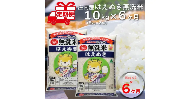 【ふるさと納税】＜12月中旬発送＞庄内米 6か月定期便！ はえぬき 無洗米 10kg （入金期限：2024.11.25） ふるさと納税 米 定期便 山形県