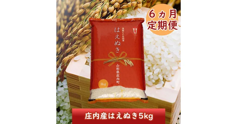 【ふるさと納税】 ＜11月中旬発送＞ 庄内米 6か月定期便！ はえぬき 5kg （入金期限：2024.10.25） ふるさと納税 米 定期便 山形県