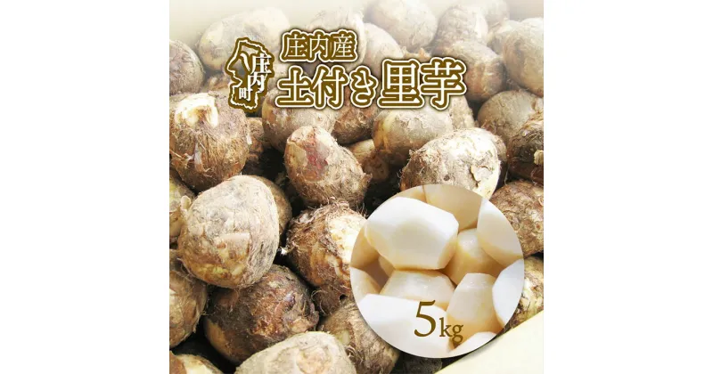 【ふるさと納税】 ふるさと納税 山形 庄内産 土付き 里芋　5kg（11月中旬から受付順に発送開始。入金期限：2024.12.10）