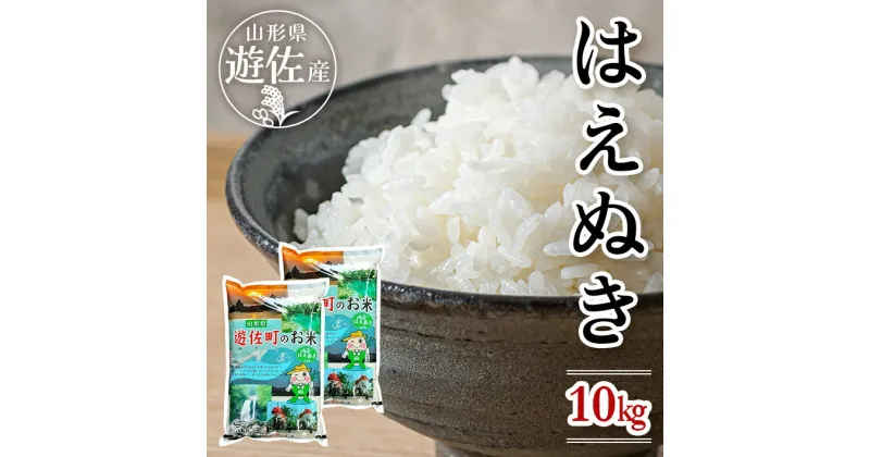 【ふるさと納税】はえぬき 計10kg 5kg×2袋 令和6年産米 山形県遊佐産 ご希望の時期頃お届け 東北 遊佐町 庄内地方 庄内平野 米 お米 精米 白米 庄内米 ごはん ご飯 セット 発送時期が選べる