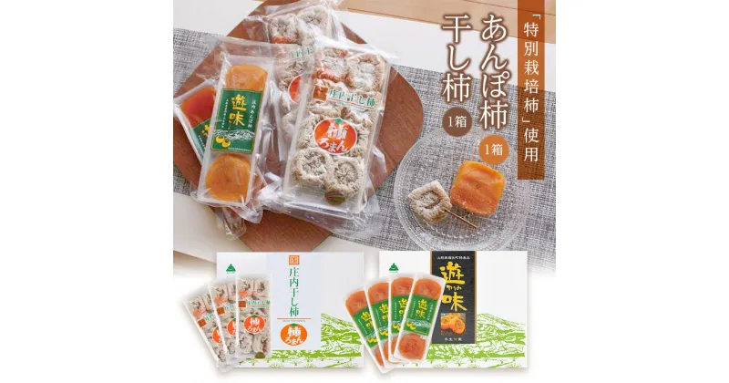 【ふるさと納税】庄内干し柿「柿ろまん」と庄内あんぽ柿「遊味」のセット 各1箱 山形県遊佐町産 庄内柿 2024年12月上旬〜2025年1月下旬頃お届け 冷蔵便 ※離島発送不可 東北 庄内地方 干柿 かき カキ 特別栽培柿 エコファーマー ドライフルーツ 半生