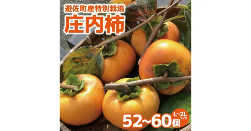 【ふるさと納税】特別栽培庄内柿 10kg L〜2Lサイズ 52〜60個入り 山形県遊佐町産 11月上旬～11月下旬頃お届け ※着日指定不可 東北 山形県 遊佐町 庄内地方 種無し柿 カキ かき 種無し