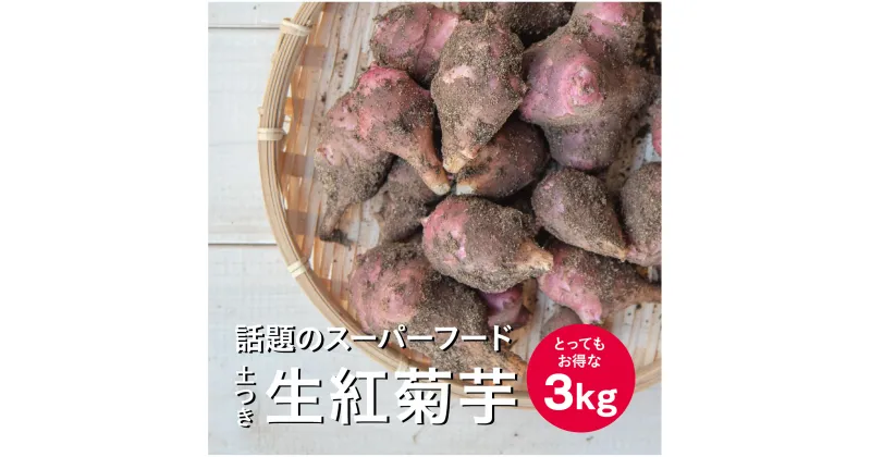 【ふるさと納税】生紅菊芋 約3kg フランス種 土つき 11月上旬〜2月下旬頃お届け ※着日指定不可 東北 山形県 遊佐町 庄内地方 秋 冬 まえむき。