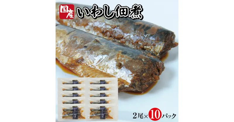 【ふるさと納税】国産いわし佃煮 2尾×10パック イワシ 佃煮 常温保存 ご飯のおとも