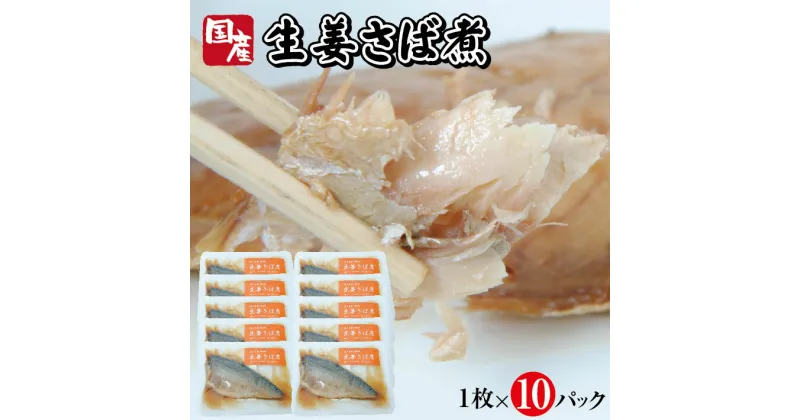 【ふるさと納税】国産生姜さば煮 1枚×10パック サバ 生姜 常温保存 ご飯のおとも