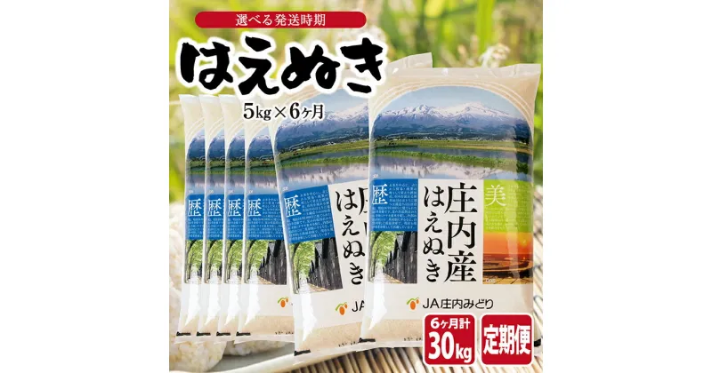 【ふるさと納税】≪6ヶ月定期便≫ はえぬき5kg×6ヶ月連続 計30kg 山形県庄内産 ご希望期間の毎月中旬頃お届け JA 農協 産地直送 精米 白米 庄内米 東北 遊佐町