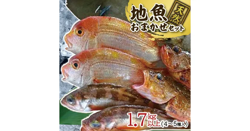 【ふるさと納税】地魚おまかせセット 4～5種類入り 計1.7kg以上 冷蔵便 ※着日指定・離島（沖縄県を含む）への発送不可 東北 山形県 遊佐町 庄内地方 鮮魚 詰合せ 産地直送 新鮮