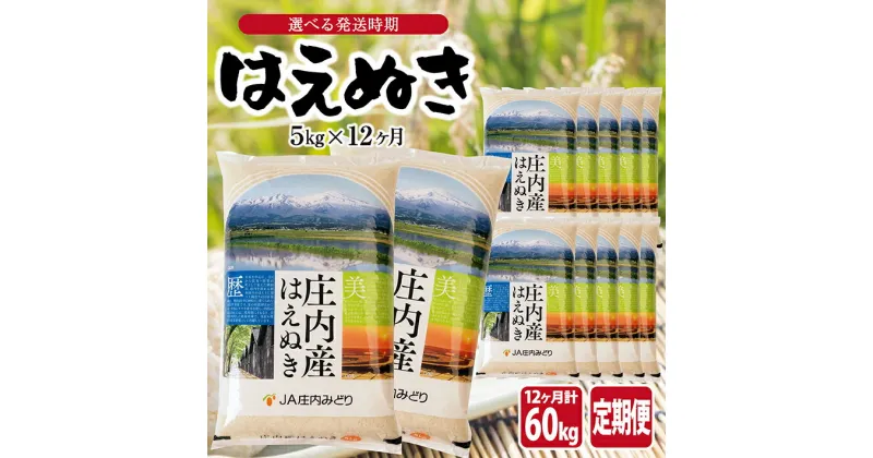 【ふるさと納税】≪12ヶ月定期便≫ はえぬき5kg×12ヶ月連続 計60kg 山形県庄内産 ご希望期間の毎月中旬頃お届け JA 農協 産地直送 精米 白米 庄内米 東北 遊佐町