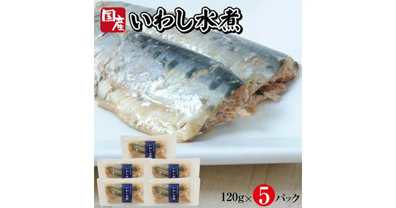 【ふるさと納税】国産いわし水煮 120g×5パック いわし 水煮 常温保存 ご飯のおとも