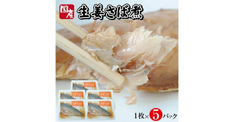 【ふるさと納税】国産生姜さば煮 1枚×5パック 生姜 サバ 常温保存 ご飯のおとも