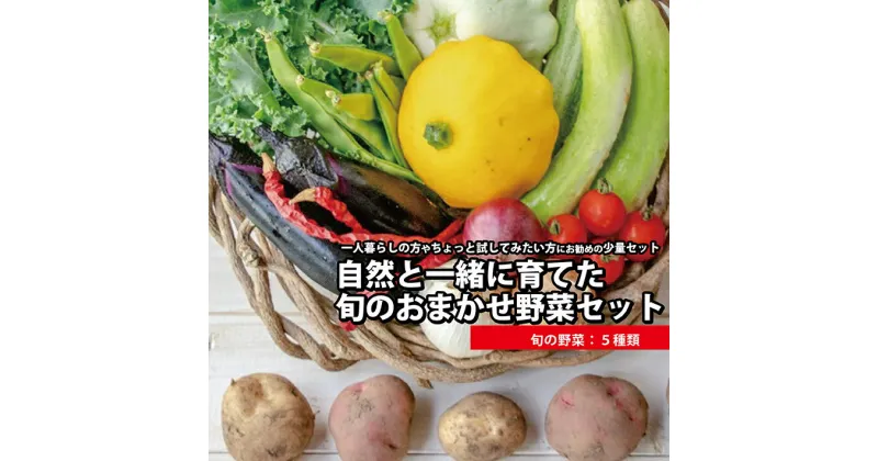 【ふるさと納税】ちょっとお試し 自然と一緒に育てた旬のおまかせ野菜セット 5種類 冷蔵便 ※離島・沖縄・北海道への発送不可 農家直送 産地直送 採れたて 自然栽培 詰め合わせ 詰合せ 東北 山形県 遊佐町 庄内