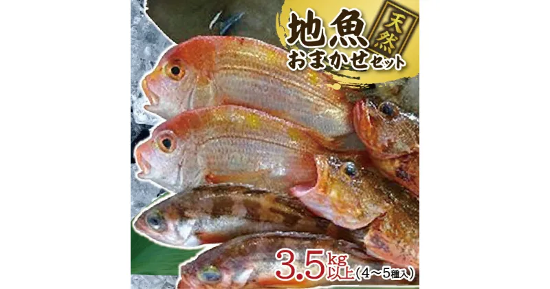 【ふるさと納税】地魚おまかせセット 4～5種類入り 計3.5kg以上 冷蔵便 ※着日指定・離島（沖縄県を含む）への発送不可 東北 山形県 遊佐町 庄内地方 鮮魚 詰合せ 産地直送 新鮮