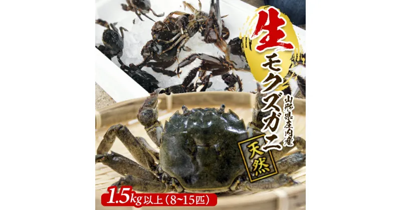 【ふるさと納税】生・天然モクズガニ 1.5kg以上 8～15匹 オス・メス混合 山形県庄内産 9月中旬～12月上旬頃順次発送 冷蔵便 ※着日指定・離島（沖縄県を含む）発送不可 カニ 蟹 かに 川ガニ 新鮮 鮮魚 まるごと 姿 カニみそ 味噌汁 蒸し蟹 期間限定 お取り寄せ おうち時間