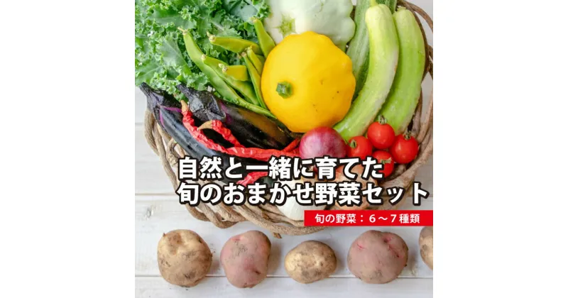 【ふるさと納税】自然と一緒に育てた旬のおまかせ野菜セット 6〜7種類 冷蔵便 ※離島・沖縄・北海道への発送不可 農家直送 産地直送 採れたて 自然栽培 詰め合わせ 詰合せ 東北 山形県 遊佐町 庄内