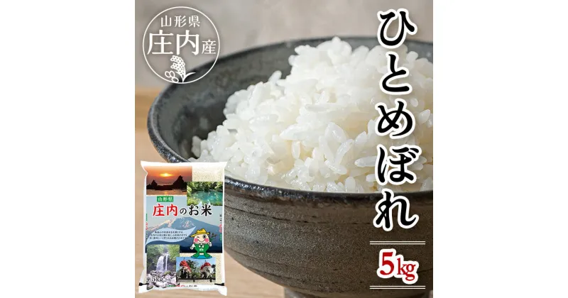 【ふるさと納税】ひとめぼれ 5kg×1袋 令和6年産米 山形県庄内産 ご希望の時期頃お届け 東北 遊佐町 庄内地方 庄内平野 米 お米 精米 白米 庄内米 ごはん ご飯 セット 発送時期が選べる